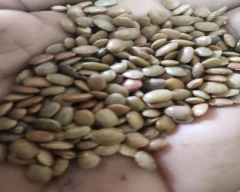Normal Horse Gram for sale in Tumakuru