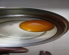 Brown Egg for sale in Chennai