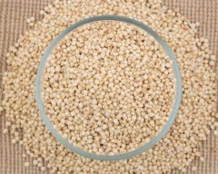 Hybrid Jowar for sale in Krishna