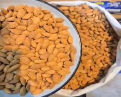 California Almond for sale in Jammu