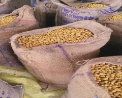 Other Almond for sale in Jammu