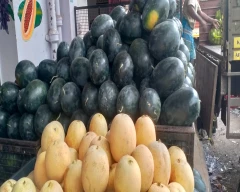 Normal Watermelon for sale in Bengaluru Urban