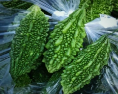 Normal Bitter gourd for sale in Ahmedabad