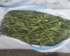 Normal Ladys Finger for sale in Jaipur