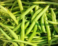 Normal French beans for sale in Bengaluru Rural