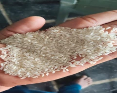 Sonam Rice for sale in Bengaluru Urban