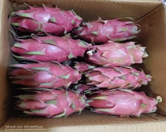 Red Dragon Fruit for sale in Ahmednagar