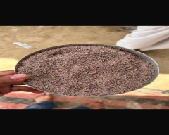 Normal Isabgul for sale in Nagaur