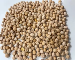 Normal White Peas for sale in Palakkad