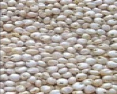 Normal Jowar for sale in Bapatla