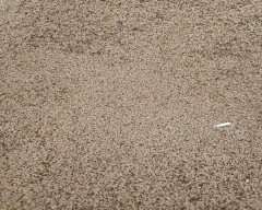 Normal Isabgul for sale in Jalore