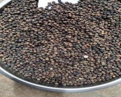 12 MM Pepper for sale in Chennai