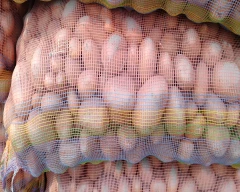 Jyoti Potato for sale in Jalpaiguri