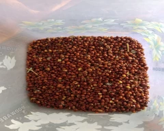 Indian Tur Dal for sale in Bhopal
