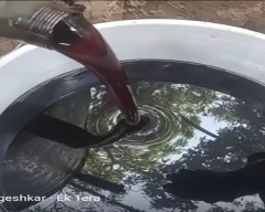 Normal Honey for sale in Bareilly