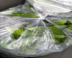 Normal Bitter gourd for sale in Banswara