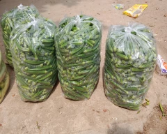 Normal Ladys Finger for sale in Bhilwara