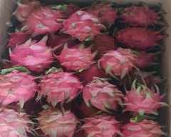 Red Dragon Fruit for sale in Gonda
