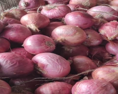 A Grade Quality Small Onion for sale in Nashik