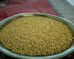 White Jowar for sale in Belagavi