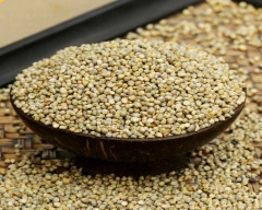 Normal Bajra for sale in Chittoor