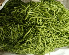 Normal Cluster Beans for sale in Rajkot