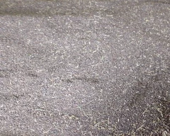 Indian Urad Dal for sale in Osmanabad