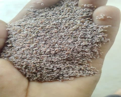 Normal Isabgul for sale in Nagaur