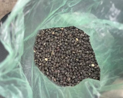 Indian Urad Dal for sale in Bagalkot