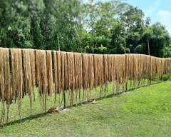 B Grade Quality Jute for sale in Supaul