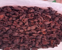 Normal Tamarind for sale in Wayanad