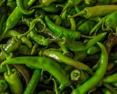 Hybrid Green Chilli for sale in Barwani