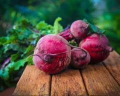 Normal Beetroot for sale in Indore