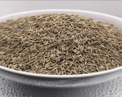 Brown Jeera for sale in Central Delhi