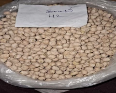 kabuli Chana for sale in Prakasam