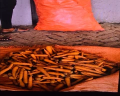 Normal Carrot for sale in Indore