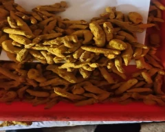 Dry Finger Turmeric for sale in Ahmedabad