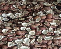 A Grade Quality Copra for sale in Vellore