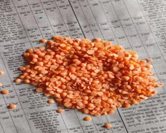 Other Masoor Dal for sale in North 24 Parganas