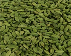 8+ Cardamom for sale in New Delhi