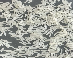 1121 Basmati Rice for sale in Karnal
