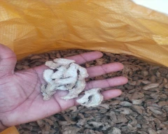 A Grade Quality Dried Ginger for sale in Jalgaon