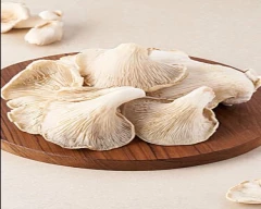 Oyster Mushroom for sale in Shivpuri