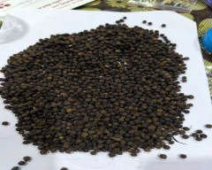 Ungarbled Pepper for sale in Visakhapatnam