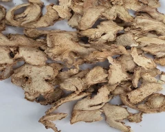 A Grade Quality Dried Ginger for sale in Aurangabad