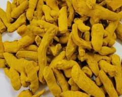 Dry Finger Turmeric for sale in Nanded