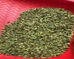 6 - 7MM Cardamom for sale in Ernakulam