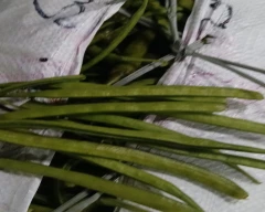 Other Cluster Beans for sale in Kurnool