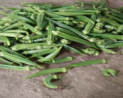Normal Ladys Finger for sale in Sangli