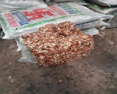A Grade Quality Tamarind for sale in Tumakuru